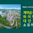 숲속의아침 이미지