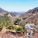 진산자연휴양림 이미지