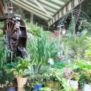 느티나무집 이미지