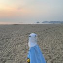 투썸플레이스아일랜드리솜점 | 태안 리솜아일랜드 S20 클린룸 숙박 후기🤍