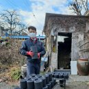 영동우체국 이미지