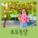 베데스다농장 이미지