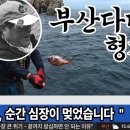 벵에돔 낚시 이미지