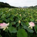 철마중리마을 이미지