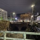 할매국밥 앞 횡단보도 이미지