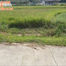 [국도29] 홍성군 신기리