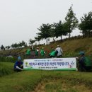 온양생태 이미지