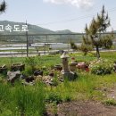 벌교IC 네이버블로그