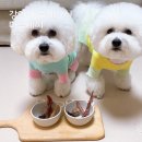 마루세끼 이미지