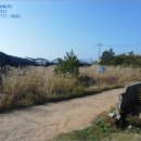 소안면-1 이미지