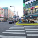 브라운 도트 이미지