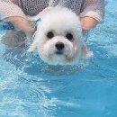 덕동민박 이미지