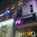 스카이 브릿지 PC 이미지