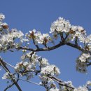 청해아구찜 이미지