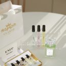 나만의 MBTI향수 만들기
