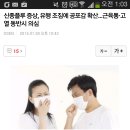 신종플루 증상, 유행 조짐에 공포감 확산…근육통·고열 동반시 의심 이미지