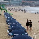 해운대해수욕장 이미지