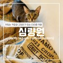신광주택 | [타이중] 심량원 Belly In Luck Coffee Roasters (타이중 카페/로스터리 카페/고양이)