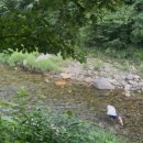 산골스파펜션 이미지