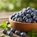 블루베리 | 눈 건강 위해 선택한 ‘싸리재 유기농 짜먹는 블루베리’ 찐 후기 | 생블루베리즙