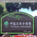 9월29일 (목요일) 가평 아침고요 수목원 들국화축제 공지합니다 이미지