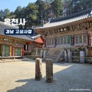 옥천사 | 경남 고성 연화산 사찰 소나무숲 신라 천년역사 옥천사