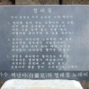 시의향기 - (489) 눈물이 돌아 번질 것 같은 내 청춘에 대하여/ 가수 주현미 이미지