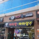 팽피시카페 이미지