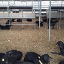 매화골농장 이미지