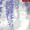맴맴 네이버블로그