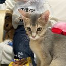 스마트엠디(주) 이미지