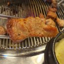 원조꼬리치는돼지 이미지