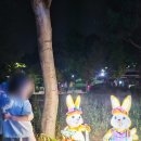 나오라쇼 공연장 이미지