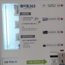 탄동농협 신성지소 | 오늘은 이불빨래 하는 날 - 신성동 셀프 세탁방 화이트365