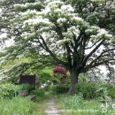 주남마을경로당 이미지