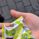 모아막창 | [대구 맛집] 종로 맛집 봉자막창 봉자한판 막창 후기