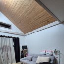 느티나무펜션민박 | 친구·가족 여행에 딱 좋은 보령펜션 느티나무집펜션 후기