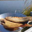 군산 참박대 수산 이미지