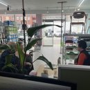 신기의료기 사상점 이미지