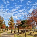 남악수변공원 이미지