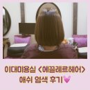 에끌레르헤어 | 이대미용실 <에끌레르헤어> 애쉬 염색 후기💓