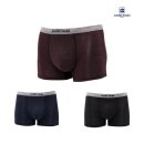 아날도바시니 이미지