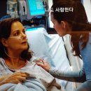 토리메드 네이버블로그