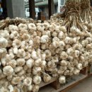 영명농장 이미지