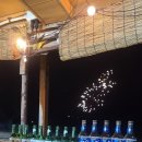 대천항세꼬시 | 충남 보령 대천항수산시장 초장집 '해변횟집' 방문 후기 꽃게탕 갑오징어 대하 새우머리버터구이 찐 맛집