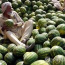 Holly Shop 이미지