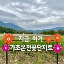 가조온천입구 이미지