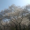 함평축구장 이미지