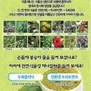 자연빛깔 - 익산시 | 자연빛깔