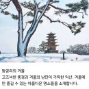 설경이 그려낸 풍경화 고즈넉한 분위기의 겨울 명소 이미지